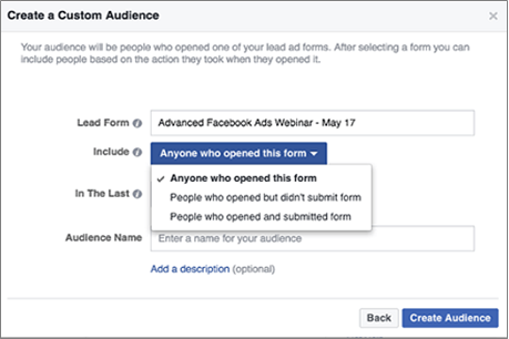 lead ads custom audience