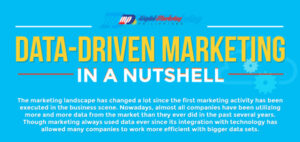 Data-Driven Marketing in a Nutshell (Infographic)