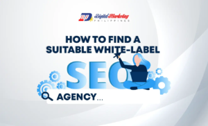 How to Find a Suitable White-label SEO Agency (Infographic)