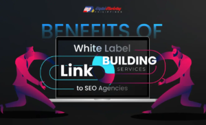 Benefits of White Label Link Building Services to SEO Agencies (Infographic)
