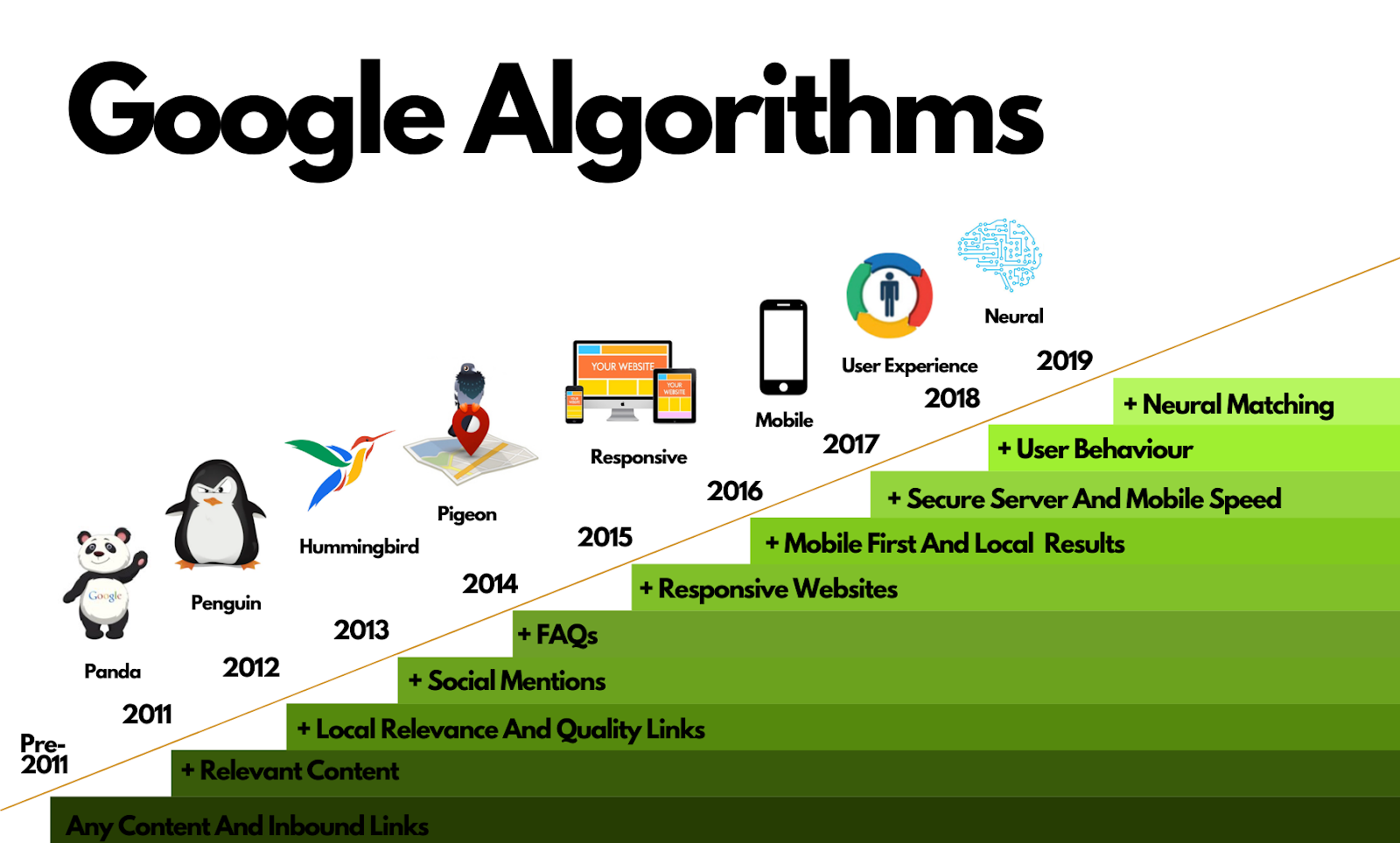 Google Algorithm Updates in 2024: What You Need to Know