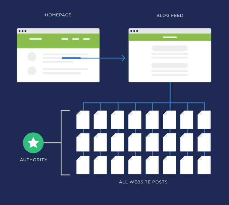 how interenal linking builds authority