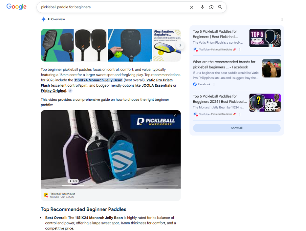 google ai overview snippet sample
