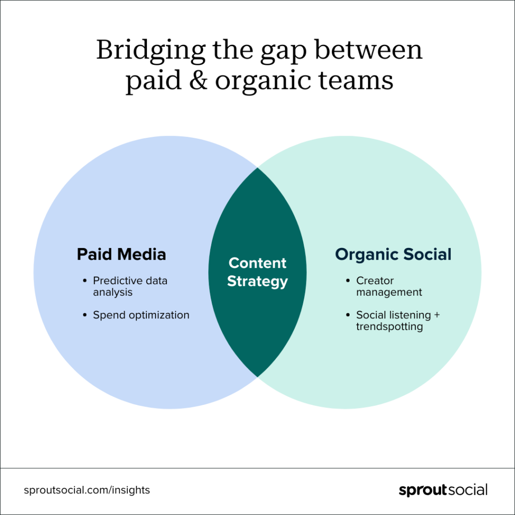 bridging the gap between paid and organic when you compare cheap vs Affordable SEO